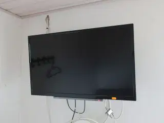 TV TOSHIBA CT8556 samt canal digital boks
