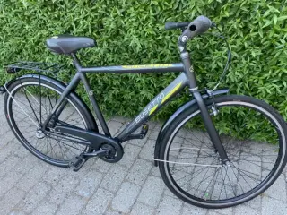 Busetto Herre cykel