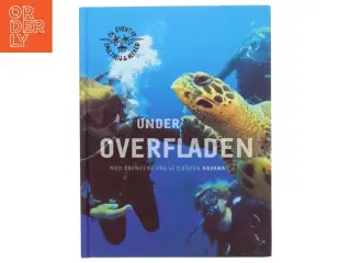 Under overfladen af Alfred Midé Erichsen (Bog)