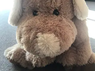 Bamse hund