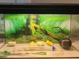 54 liters akvarie sælges