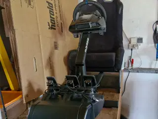 Playseat Evolution Sort