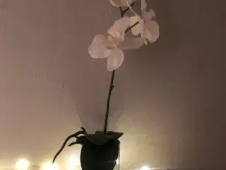 Kunstig orkide i potte