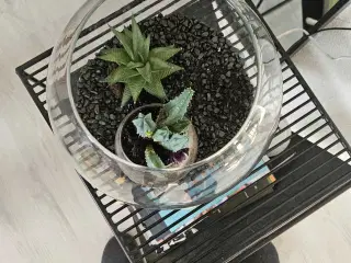 Stor glasbovle med blomster