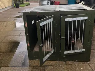 Hundetransport kasse