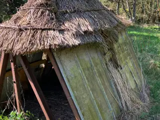Svinesti