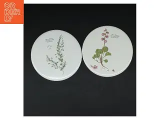 Porcelænsbakker med botaniske motiver motiver (str. 2 styk. ø. 15,5 cm)