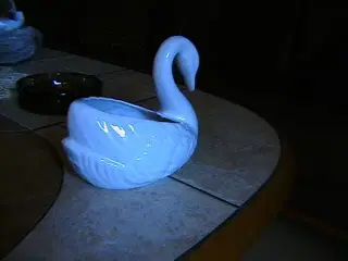 Hvid svane Ældre, men fin.