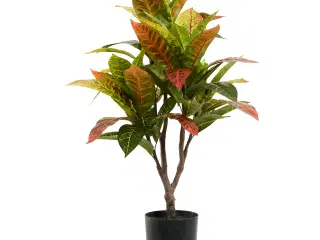 Kunstig plante Croton 75 cm. 