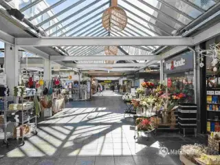 72m² butik / cafe o.lign.