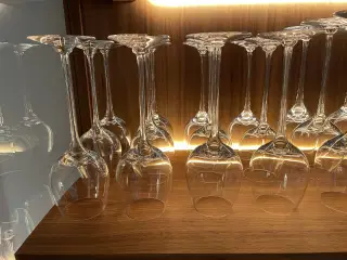 12 stk Fontaine hvidvin glad