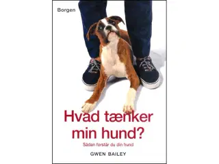 Hvad tænker min Hund?