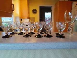 11 snapseglas 