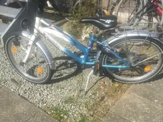 Cykel 20*
