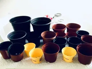 Urtepotter blanddt 20 stk. 