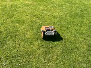 Robotplæneklipper