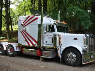 - - - peterbilt 379