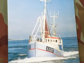 Grenaa Fiskeforening.