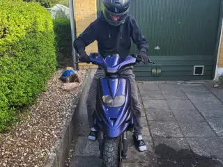 Gilera stalker
