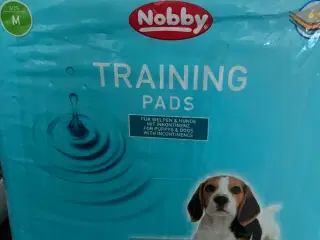 Nobby training pads str m