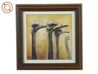 Billedramme med maleri af strudse (str. 21 x 21 cm)