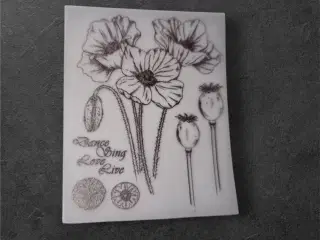 Papirark med valmuer og inspirerende tekst Giv din