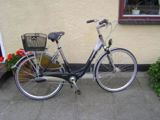 28" Batavus Shopper