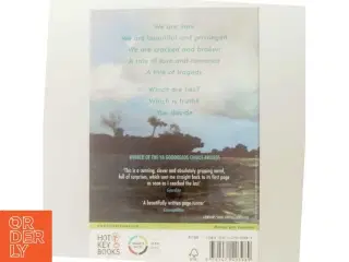 We were liars af E. Lockhart (Bog)