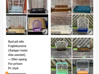 12 fuglebur sælges helst samlet