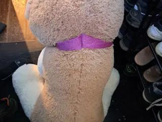 Stor bamsehund