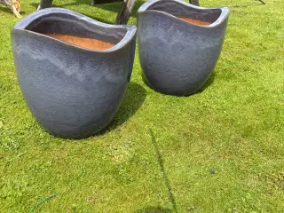 Have krukker