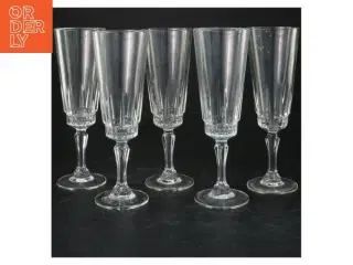 Champagnesæt af 5 glas (str. 18x6 cm)