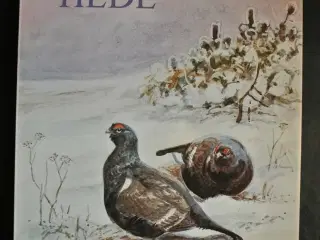borris hede, Af sigurd rosendahl. ill. af leif rag