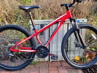 MTB Specialized (small)