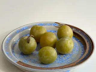 Keramikfad m krystalglasur