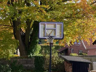 Basketball stander