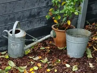 Zink - vandkande, spand og 10 liters dunk