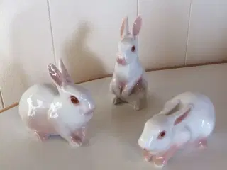 Kaniner hvide B&G.