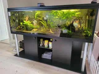 Akvarie 720 liters