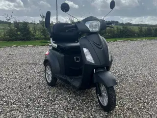 El scooter/handicap scooter