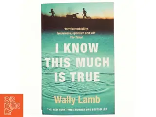 I know this much is true af Wally Lamb (Bog)