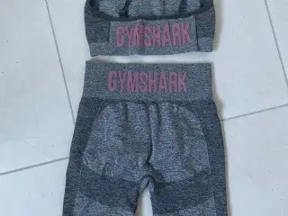 Gym Shark