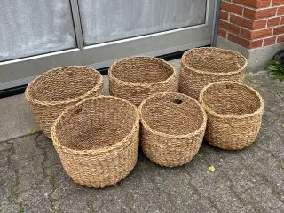 Kurve, nye