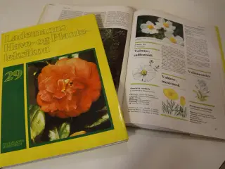 ( 29 bøger) LADEMANNS Have- og Planteleksikon