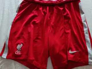 Liverpool shorts
