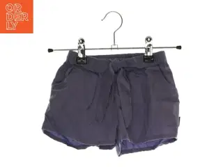 Shorts fra Hust and Claire (Str. 80) (str. 80)