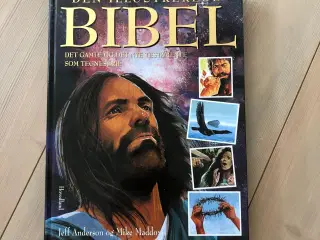Den Illustrerede Bibel