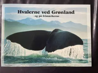 Grønland, Hvaler - Særmappe med Grønlandske hvaler