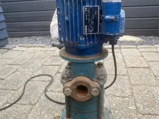 Havepumpe Grundfos til havevanding. Fungerer fint
