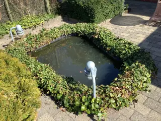 Havedam